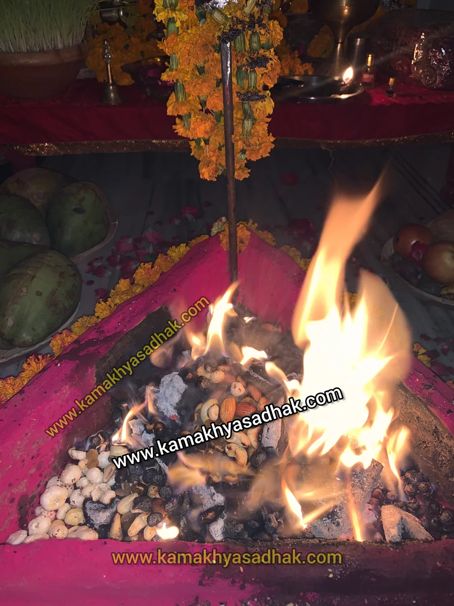 Aghori baba in kamakhya temple performs sadhna in ambubachi mela